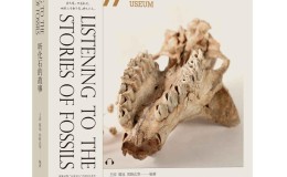 听化石的故事-电子书下载
