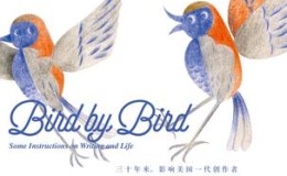 一只鸟接着一只鸟-azw3+epub+mobi+pdf+txt电子书下载